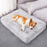 Large dog bed