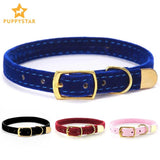 Cat and dog collar