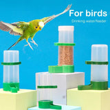 Automatic Bird Feeder: Water Drinker, Automatic for Birds