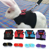 Rabbit Harness Leash Set