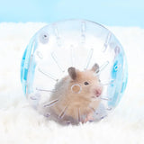 Plastic Outdoor Sport Ball Grounder Rat Small Pet Mice Jogging Ball Toy Hamster Gerbil Exercise Ball Play Toy Small Pet Supplies